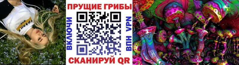 Галлюциногенные грибы Cubensis  Купить где  Александровск 