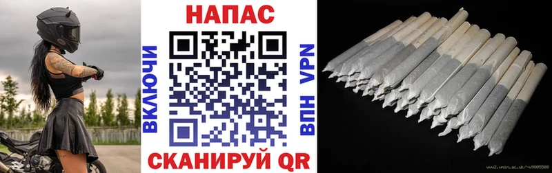 Купить закладки  Александровск  Каннабис White Widow